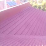 504433206_1258294372973439_3846199980754607322_n